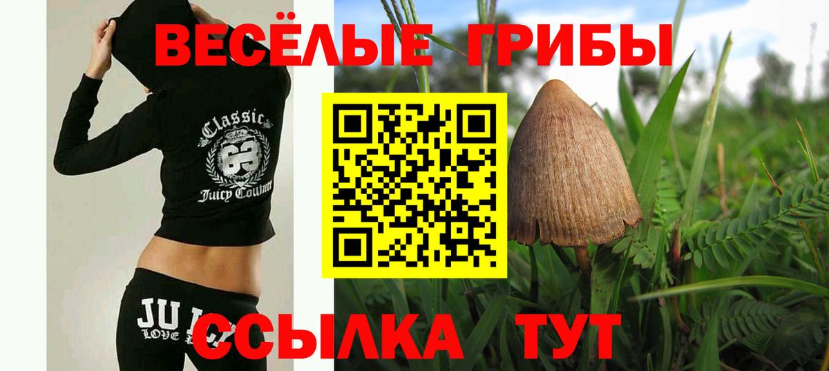 Новотроицк  Псилоцибиновые грибы Magic Shrooms  Вход с VPN 