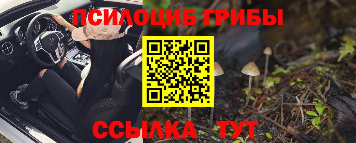 Галлюциногенные грибы мухоморы Новотроицк